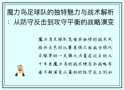 魔力鸟足球队的独特魅力与战术解析：从防守反击到攻守平衡的战略演变